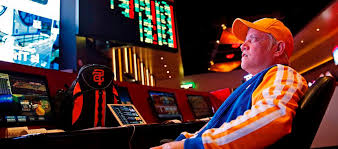 Зеркало Lucky Duck Casino